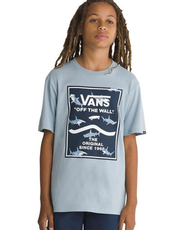 BVO